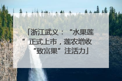 浙江武义：“水果莲”正式上市，莲农增收“致富果”注活力